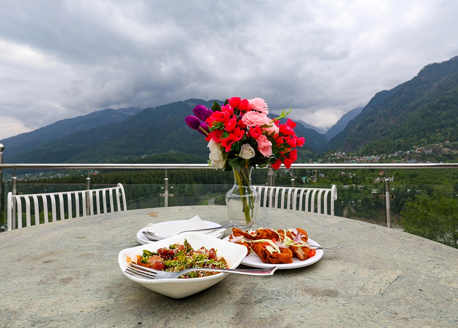 hotel_namaste_inn_beas_valley_terrace_food_service